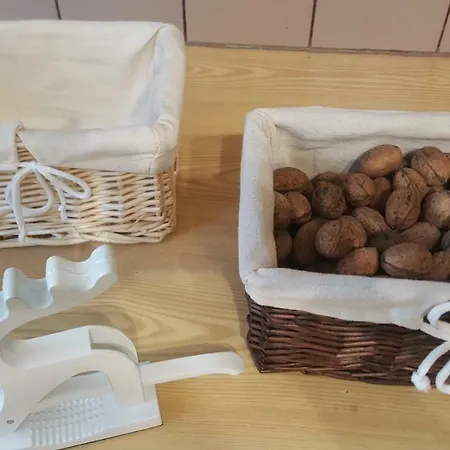 The Chestnut بلوفديف